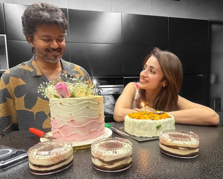 Trisha's Birthday Wish for Vijay